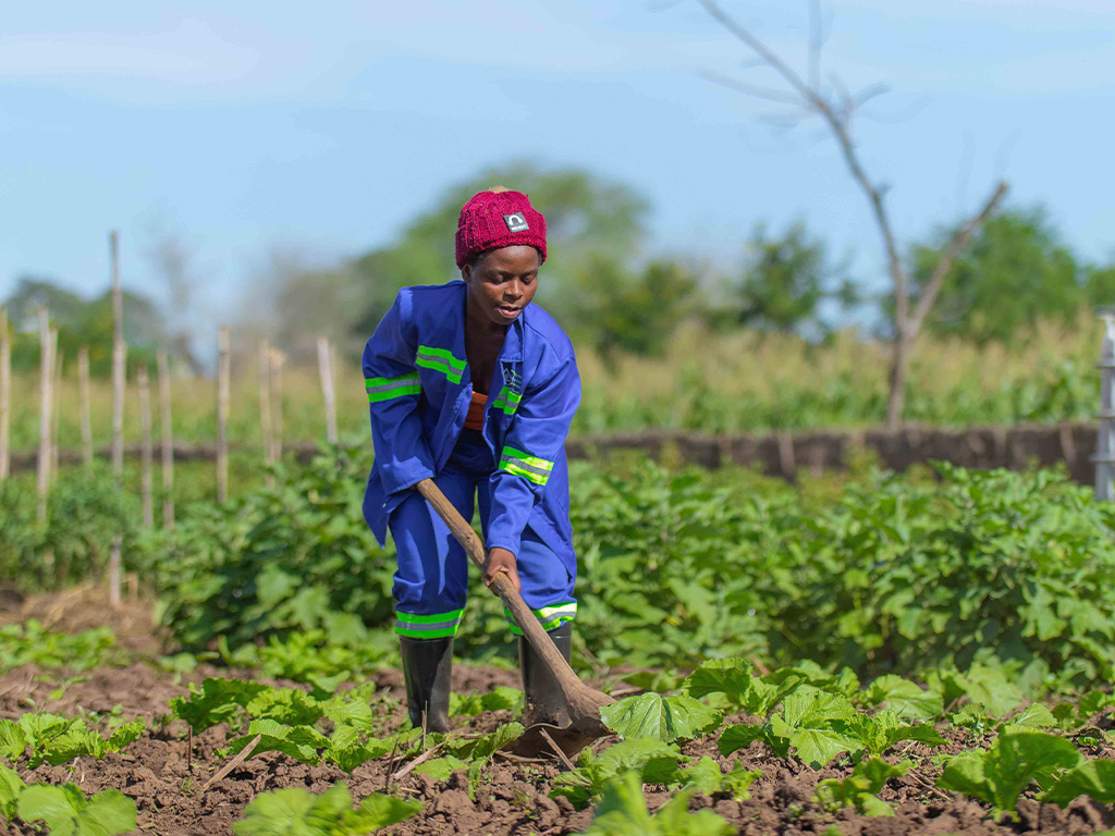 student girl weeding in a vegetable garden